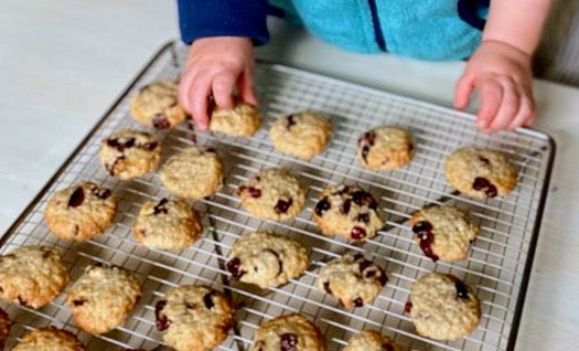 Petits cookies d’Emilien aux flocons d'avoine et cranberries